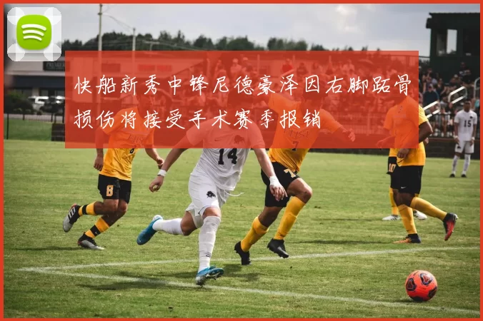 快船新秀中锋尼德豪泽因右脚跖骨损伤将接受手术赛季报销